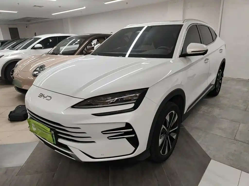 BYD Song PLUS New Energy 2024 — фото 2