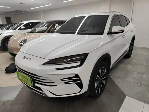BYD Song PLUS New Energy 2024