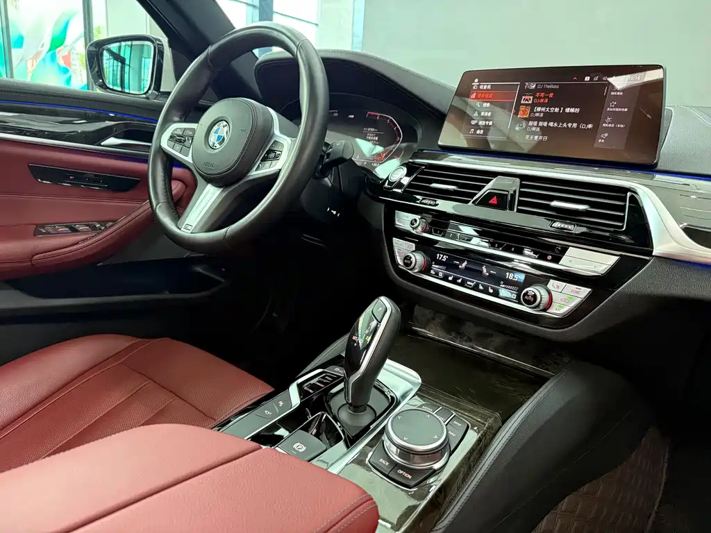 BMW 5 Series 2020 — фото 12
