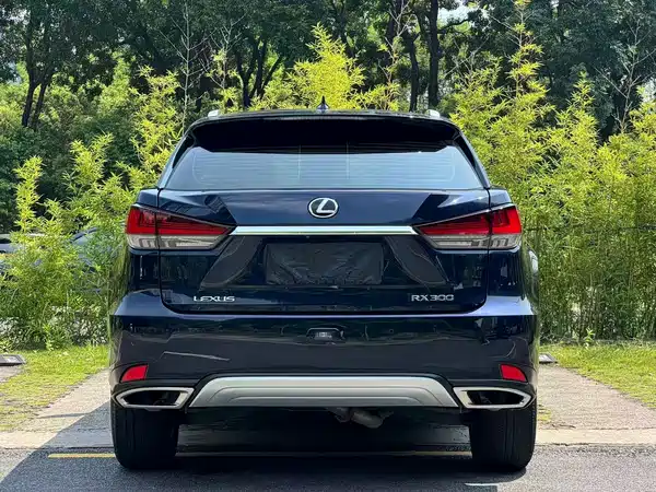 Lexus RX 2022