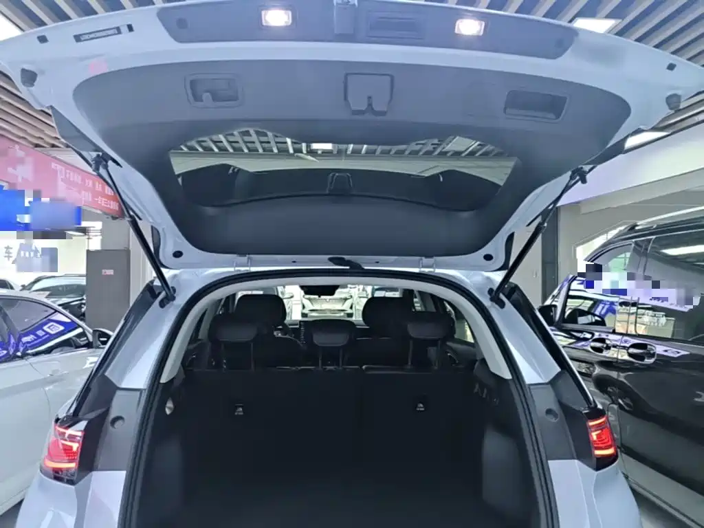 BYD Sealion 05 EV 2025 — фото 19