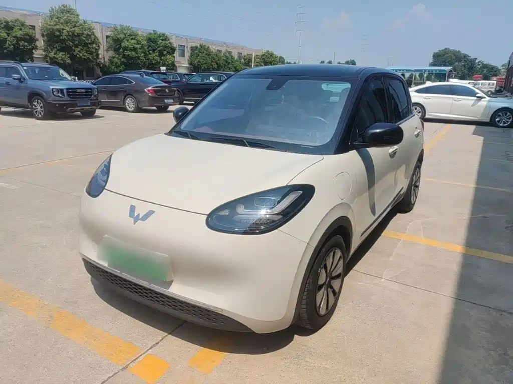 Wuling Bingo 2024
