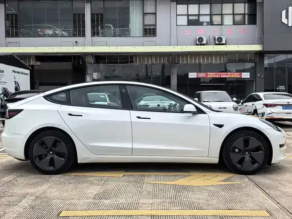 Tesla Model 3 2021