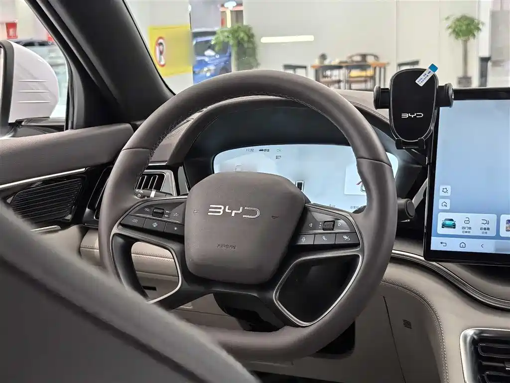 BYD PLUS New Energy 2025 — фото 18