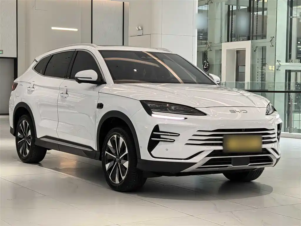 BYD PLUS New Energy 2025 — фото 8