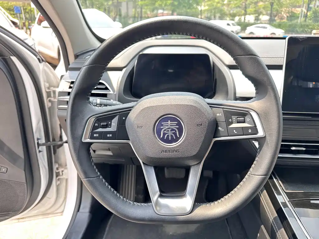 BYD Qin Pro New Energy 2020 — фото 16