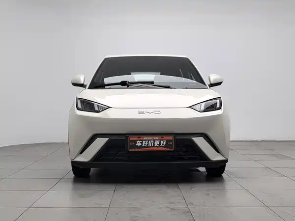 BYD Seagull 2024