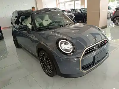 MINI MINI 2025