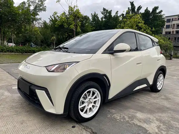 BYD Seagull 2024