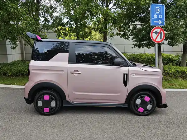 Geely Galaxy Panda 2024