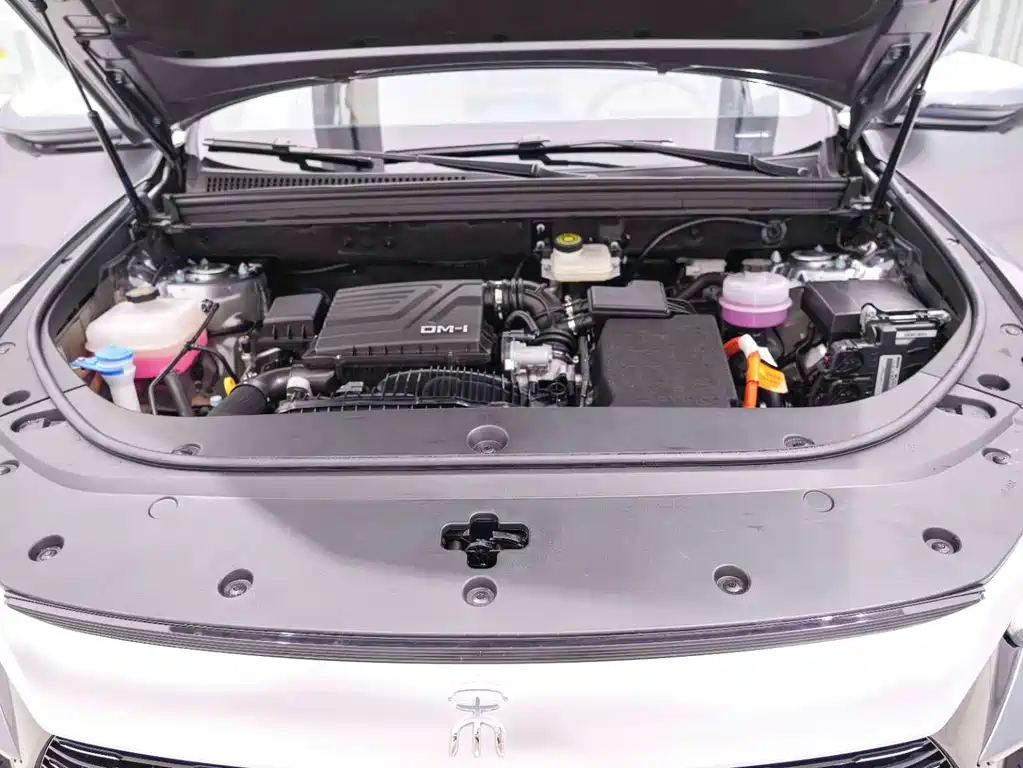 BYD Pro New Energy 2024 — фото 23
