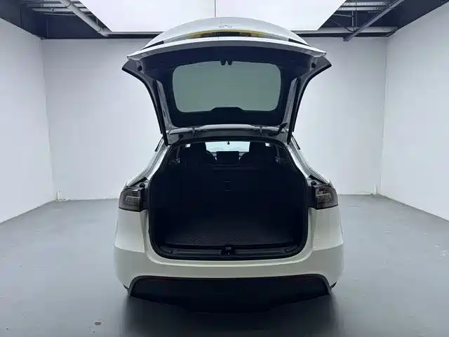 Tesla Model Y 2024 — фото 9
