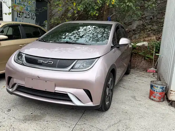 BYD Dolphin 2023