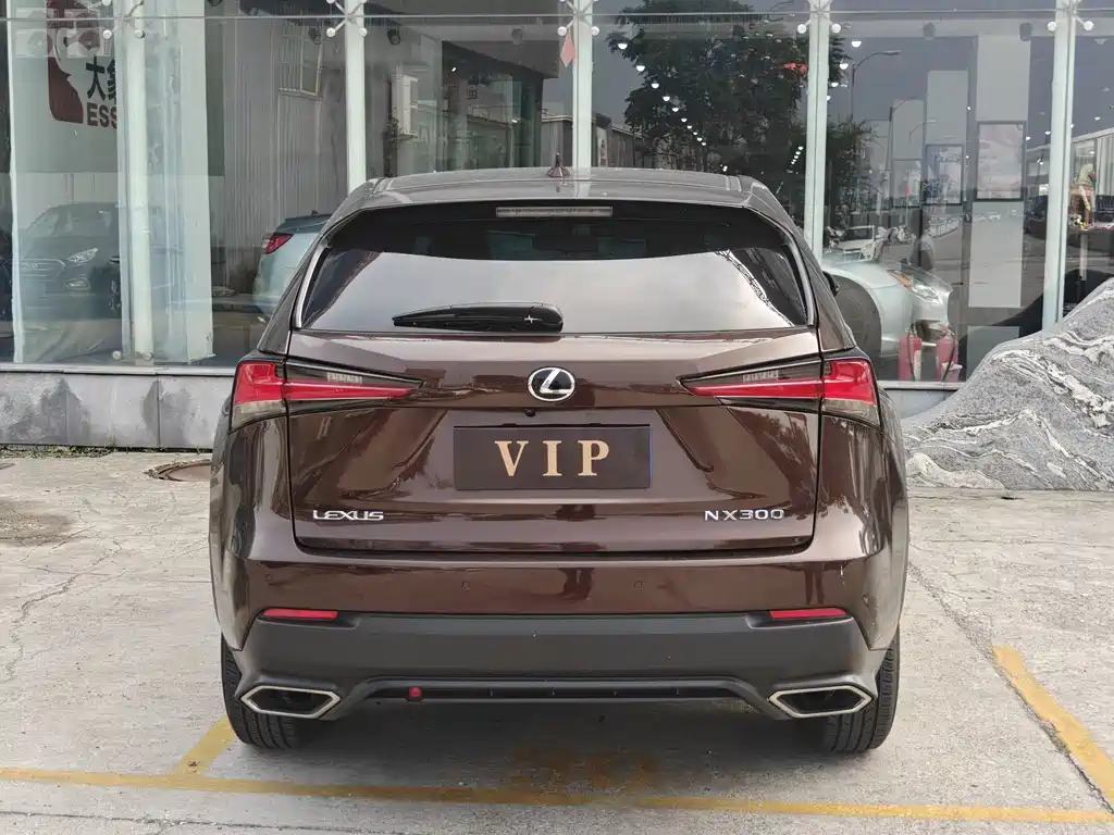Lexus NX 2018 — фото 13
