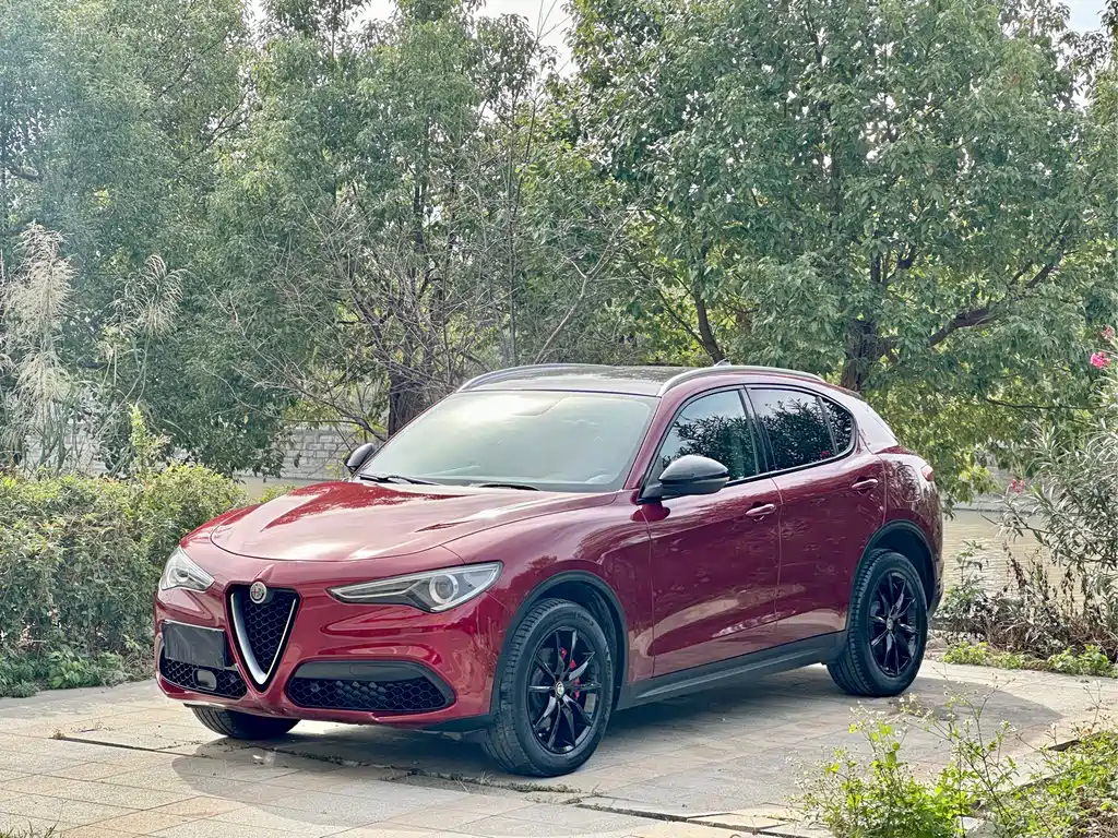 Alfa Romeo Stelvio 2017 — фото 1