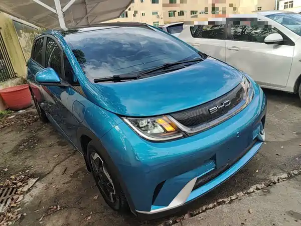 BYD Dolphin 2022