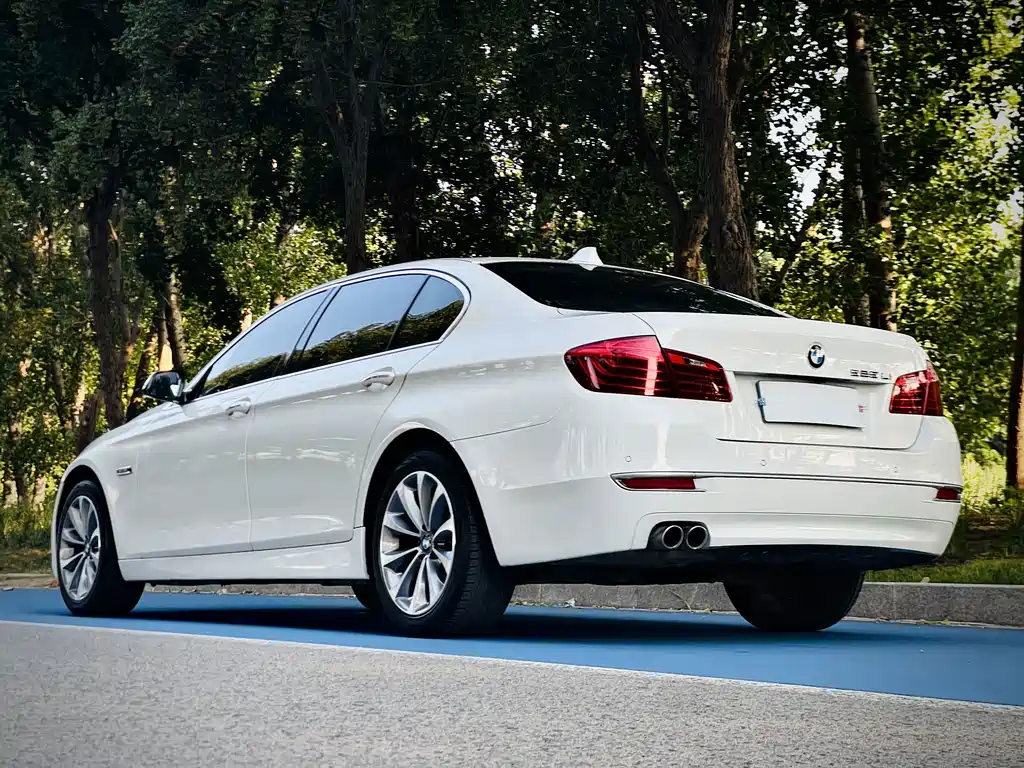 BMW 5 Series 2014