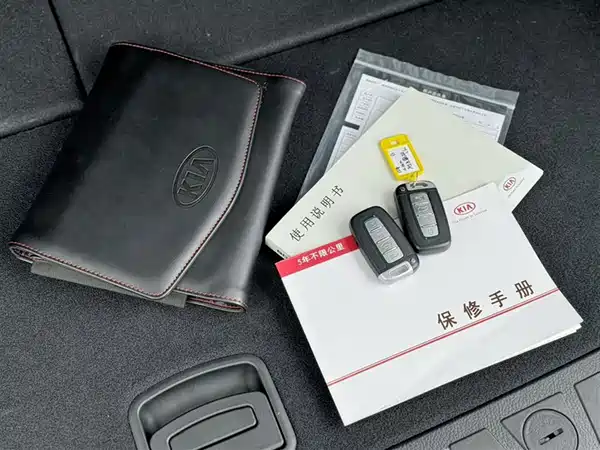 Kia Ba Rui 2015