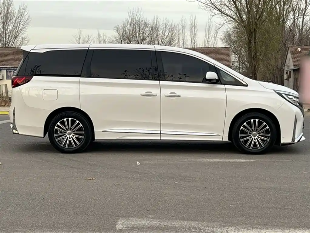GAC Motor Trumpchi M8 2021 — фото 29
