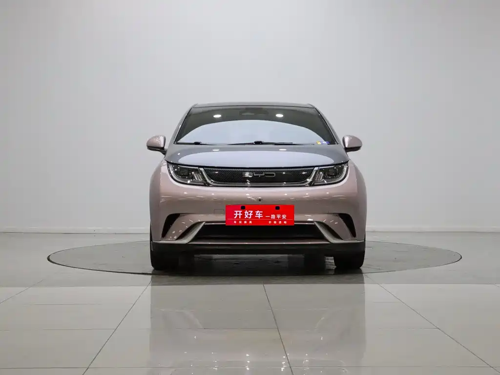 BYD Dolphin 2022