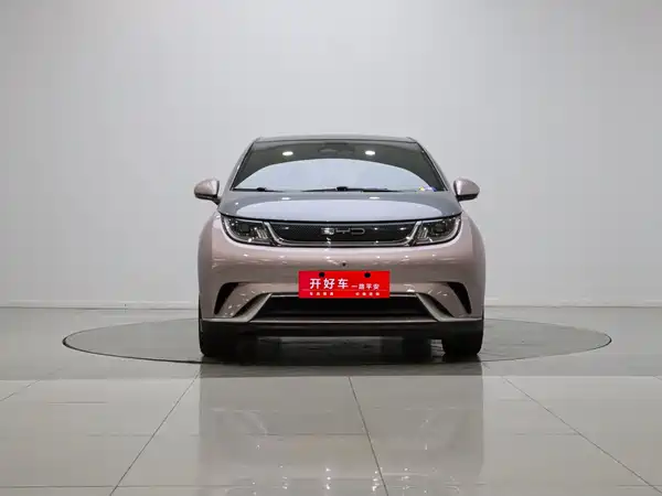 BYD Dolphin 2022