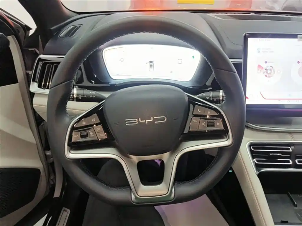 BYD PLUS New Energy 2024 — фото 11