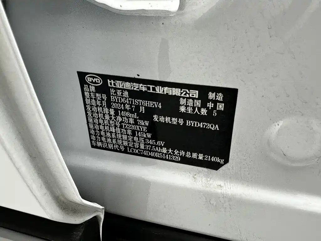 BYD Song Pro New Energy 2024 — фото 19