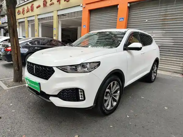 Wey VV6 2019