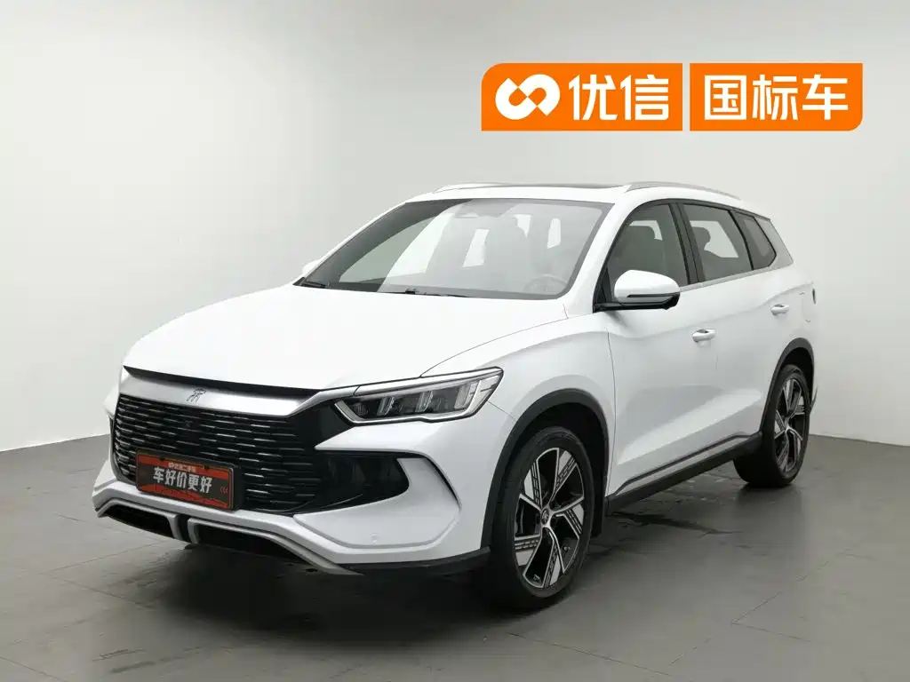 BYD Song Pro New Energy 2023 — фото 1