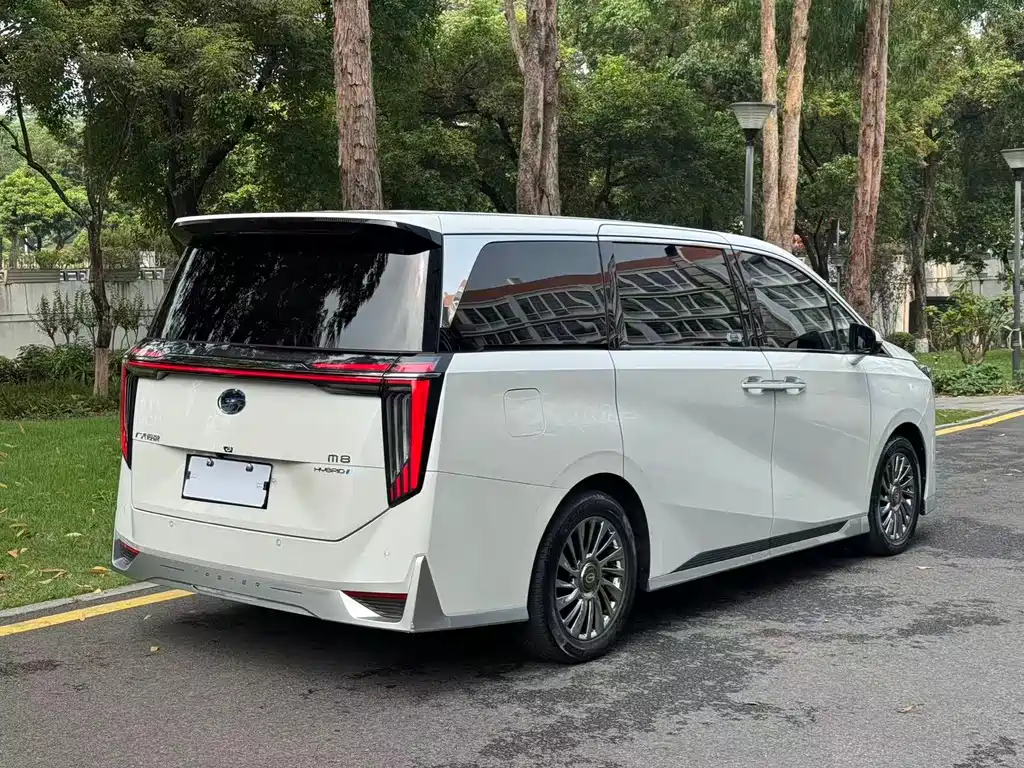 GAC Motor Trumpchi M8 2024 — фото 19