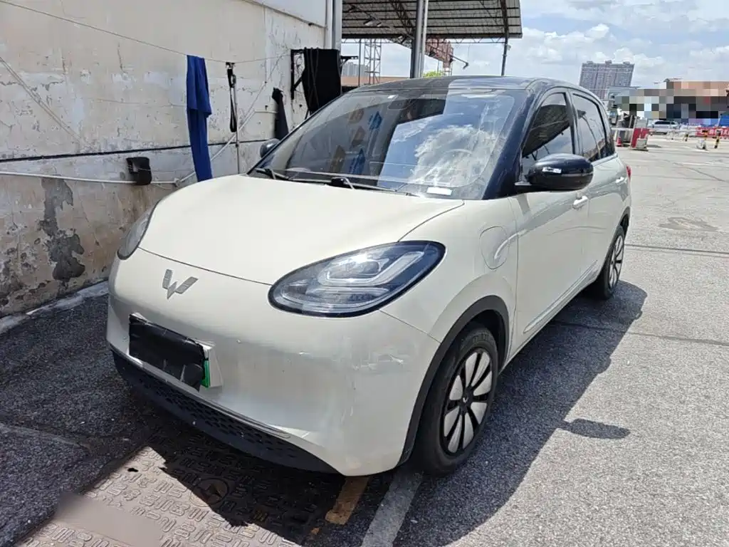Wuling Bingo 2024