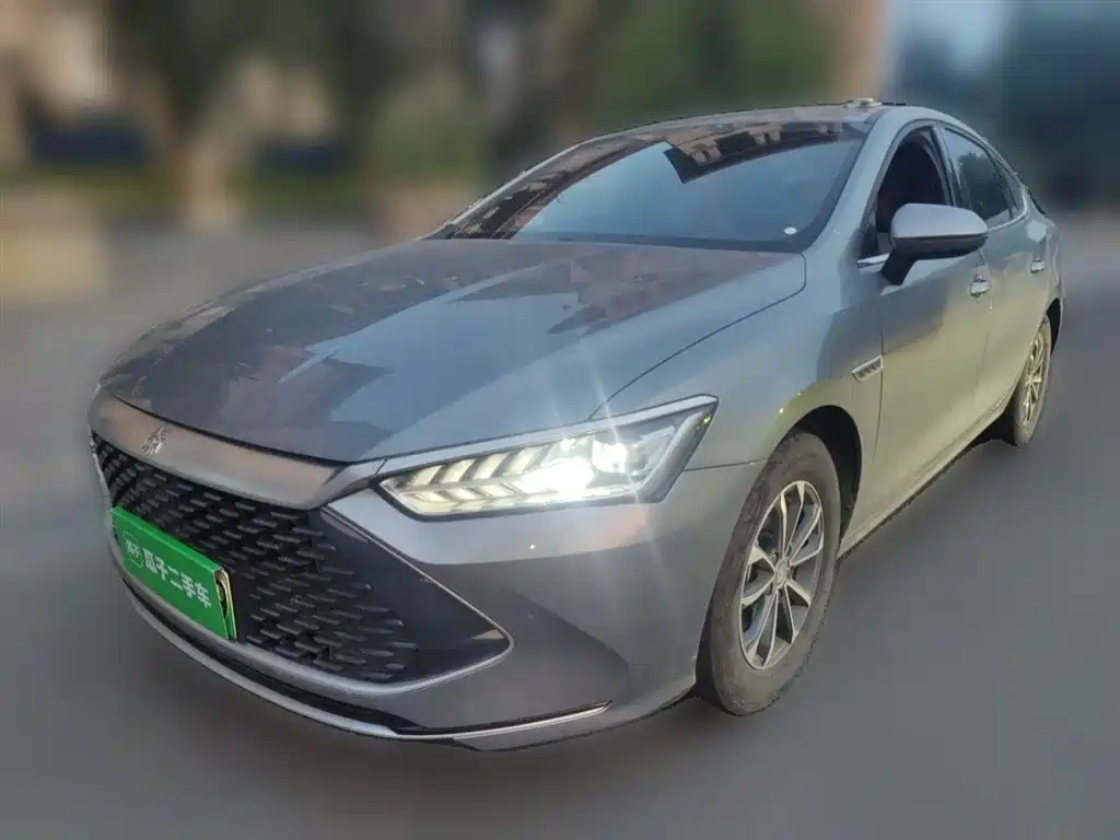 BYD Qin PLUS 2024 — фото 1
