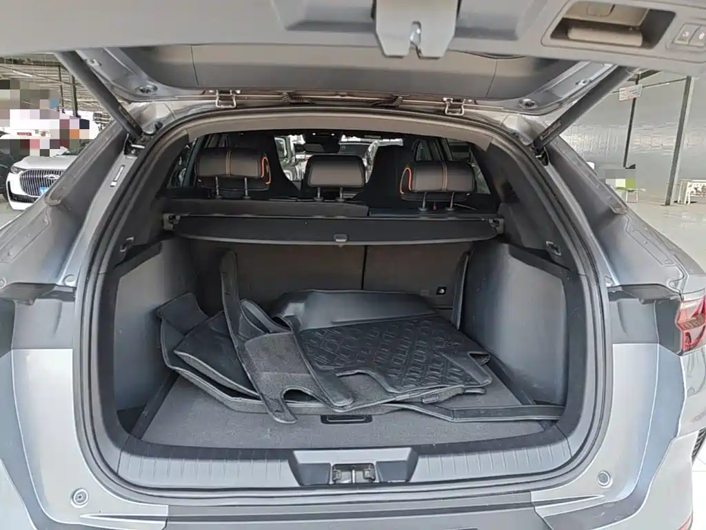 BYD PLUS New Energy 2022 — фото 15
