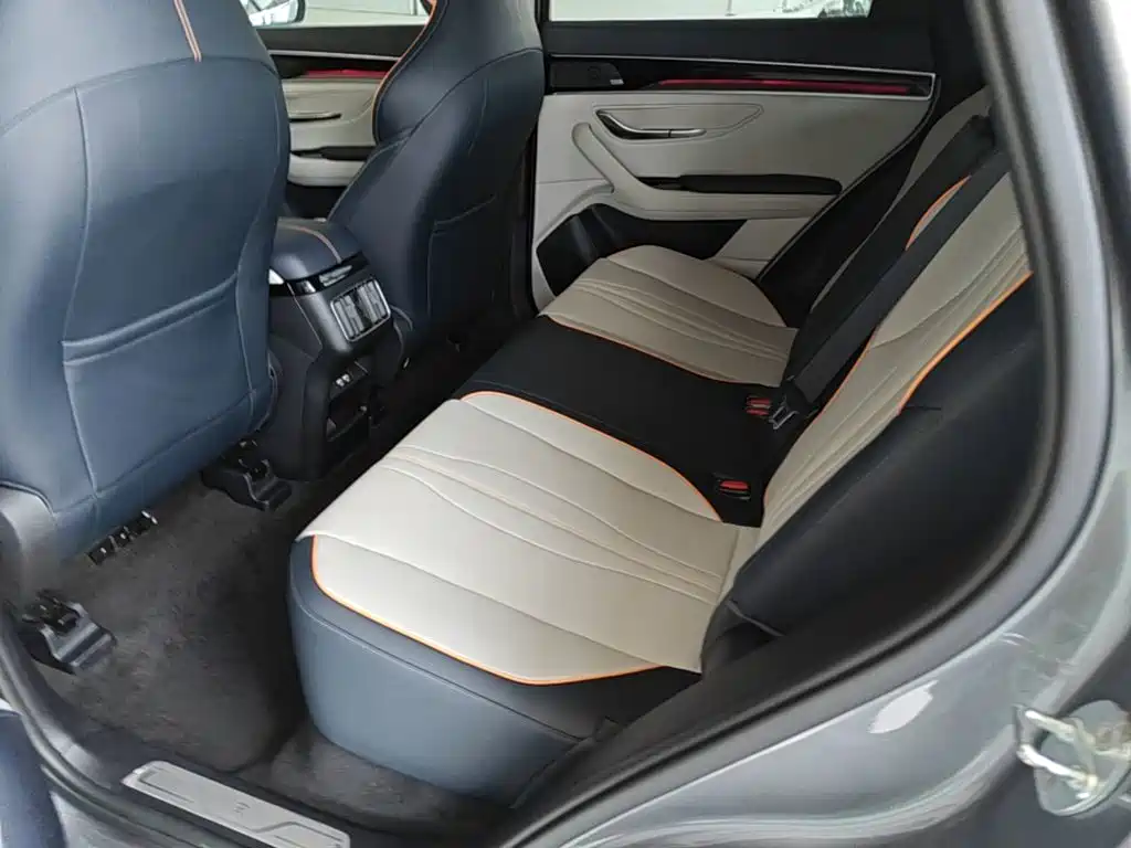 BYD PLUS New Energy 2022 — фото 13