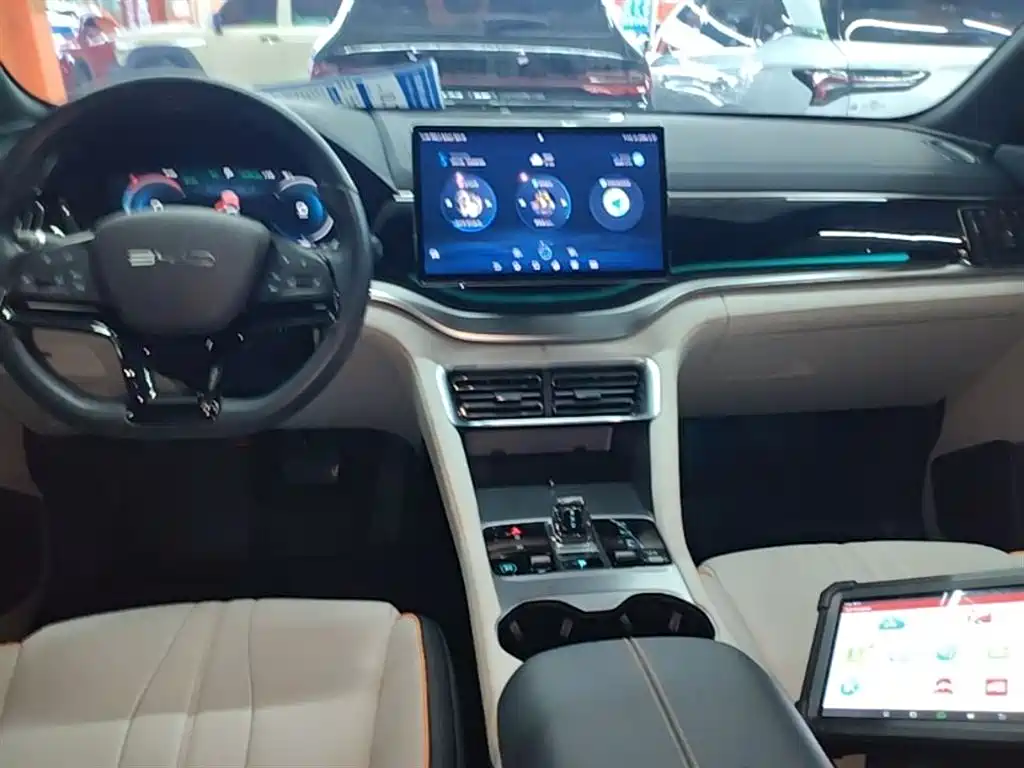 BYD PLUS New Energy 2024 — фото 10