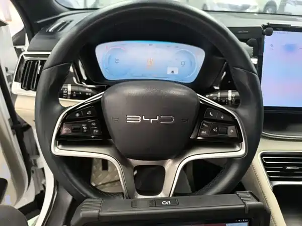 BYD Song PLUS New Energy 2024