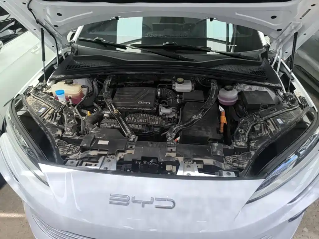 BYD Song PLUS New Energy 2024 — фото 16