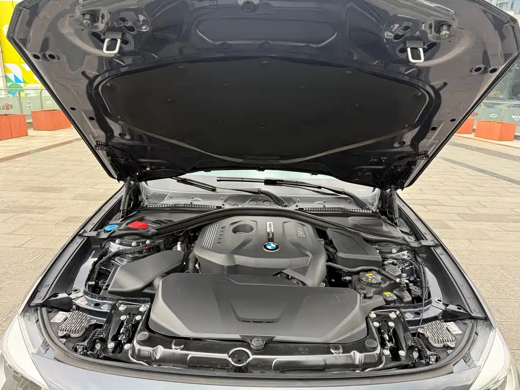 BMW 3 Series GT 2017 — фото 10