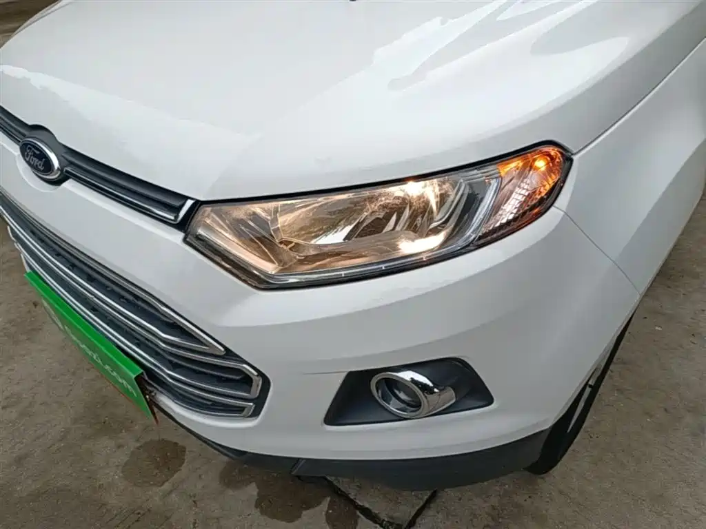 Ford Ecosport 2015 — фото 24