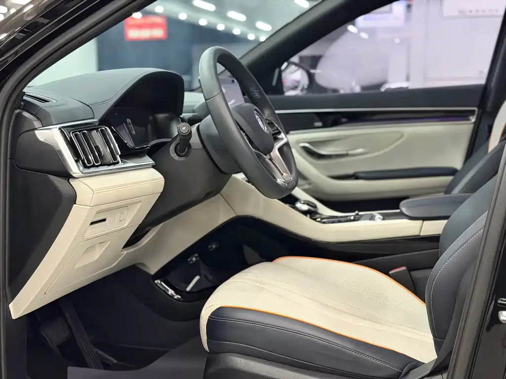 BYD PLUS New Energy 2021 — фото 8