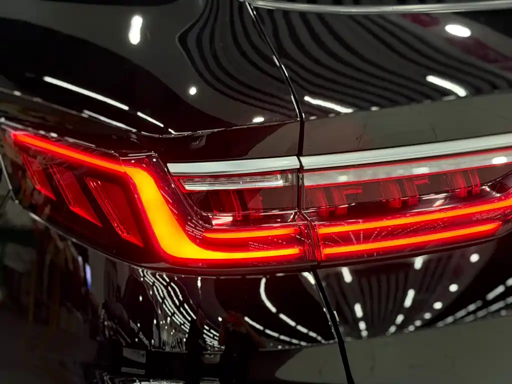 BYD PLUS New Energy 2021 — фото 19