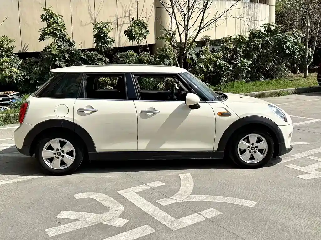 MINI MINI 2015