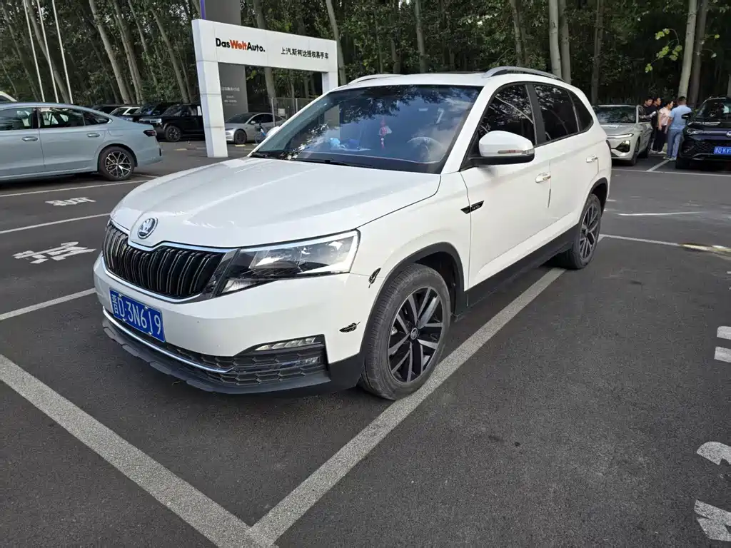 Skoda Kamiq 2022 — фото 1