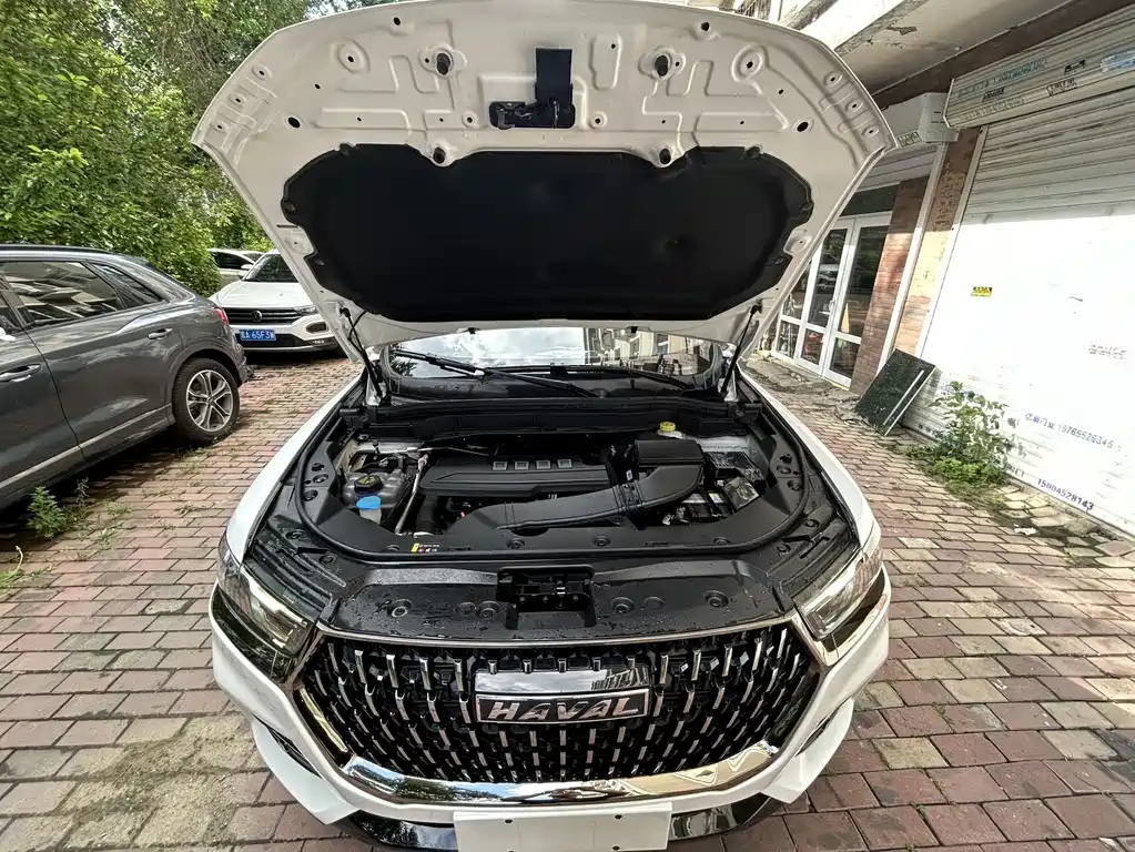 Haval H6 2023 — фото 20