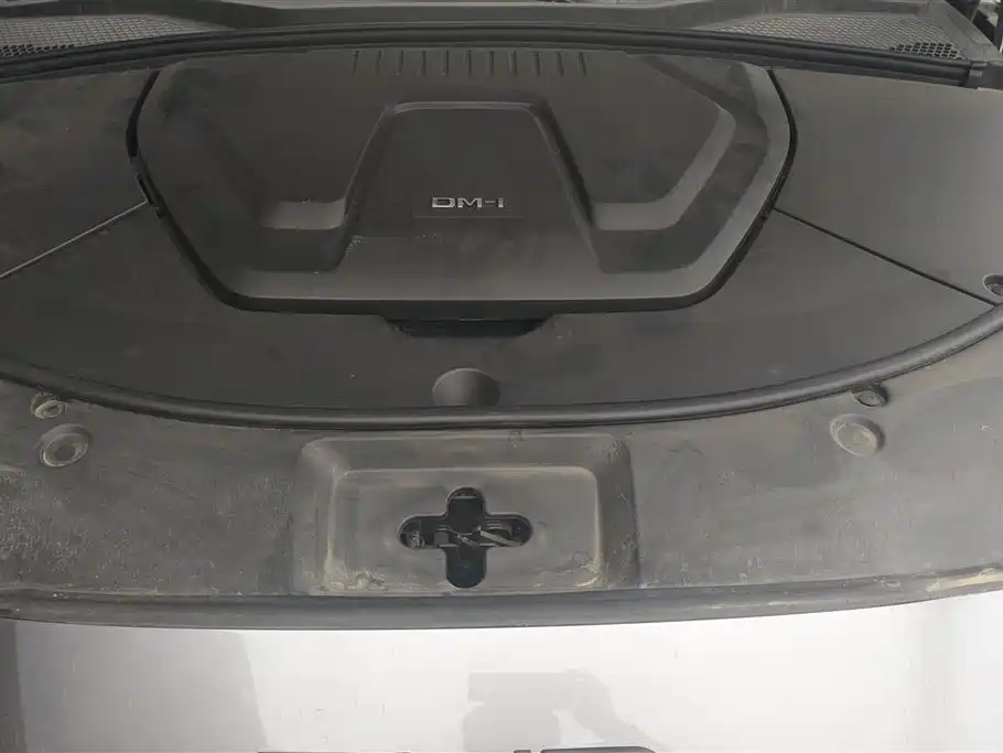 BYD PLUS New Energy 2023 — фото 10