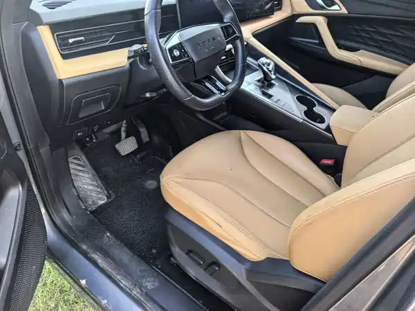 Roewe RX5 New Energy 2022