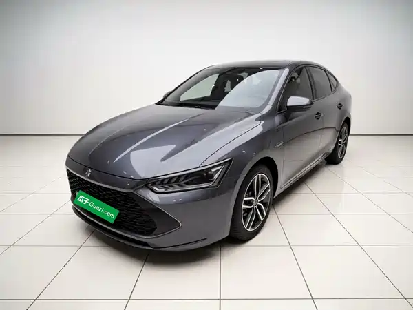 BYD Qin PLUS 2021