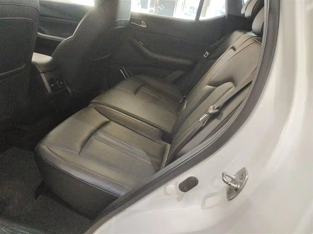 GAC Motor Trumpchi GS4 2019 — фото 14