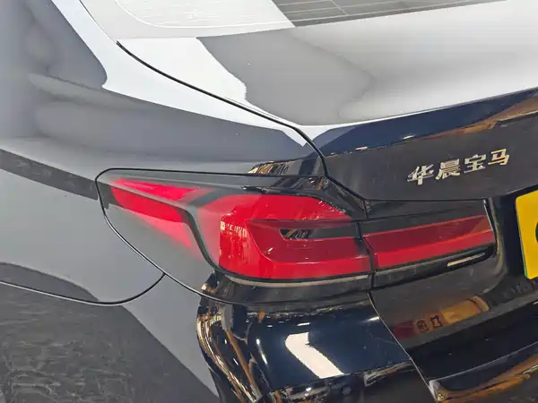 BMW 5 Series New Energy 2021