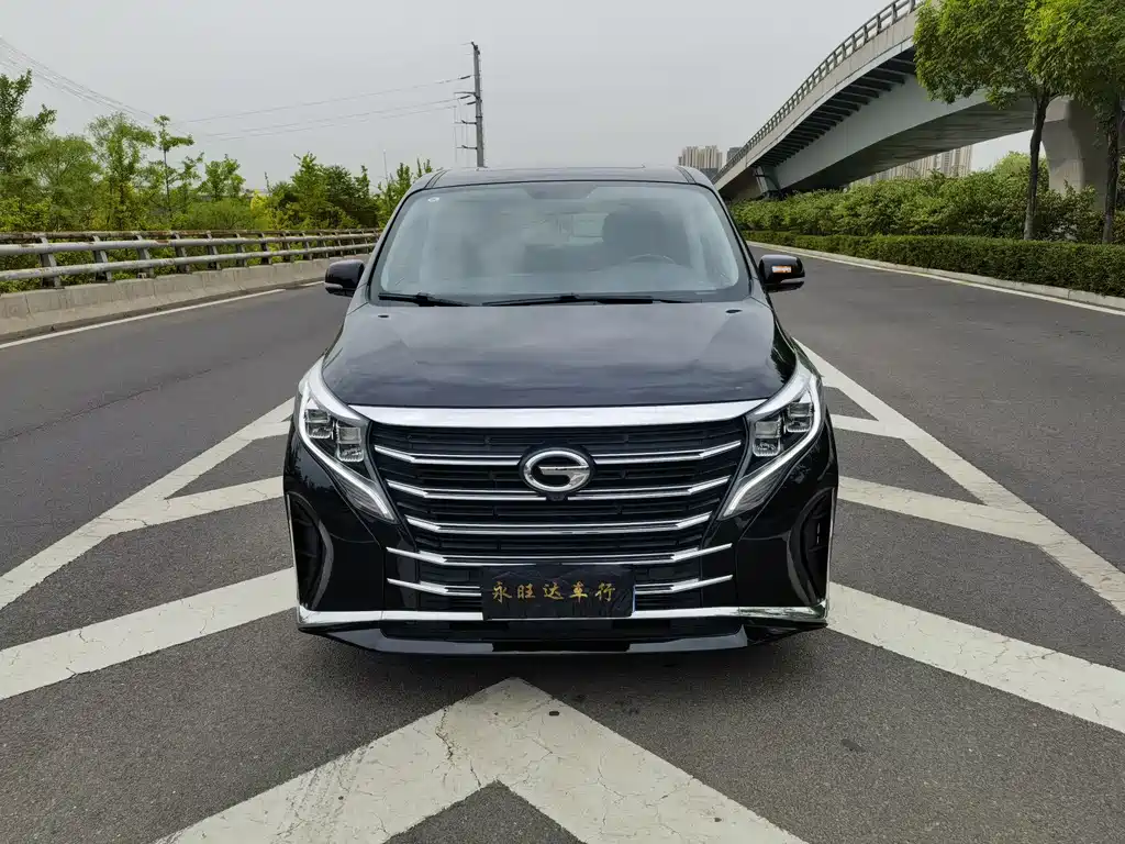 GAC Motor Trumpchi M8 2024 — фото 2